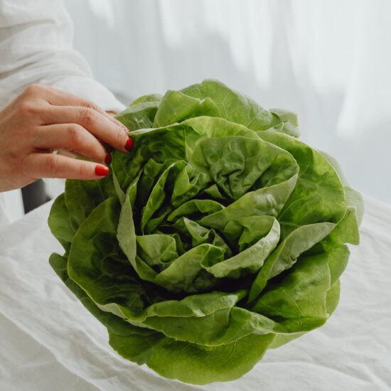 kaboompics_fresh-green-lettuce-background-28553-scaled-min